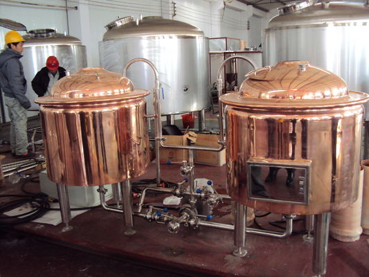 kwaliteit  Automatic Red Copper Brewing Equipment Small Scale Brewery For Pub Draft fabriek