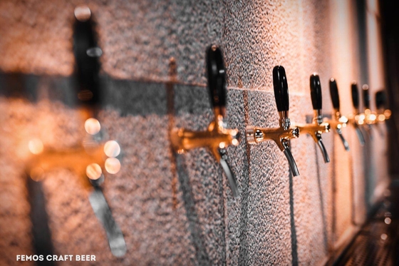 Het Huis van het douaneontwerp De Brouwerijinstallatie van het Bierbrouwenmateriaal voor Walt-Bier het Maken
