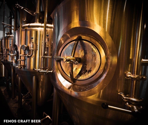 Het Huis van het douaneontwerp De Brouwerijinstallatie van het Bierbrouwenmateriaal voor Walt-Bier het Maken