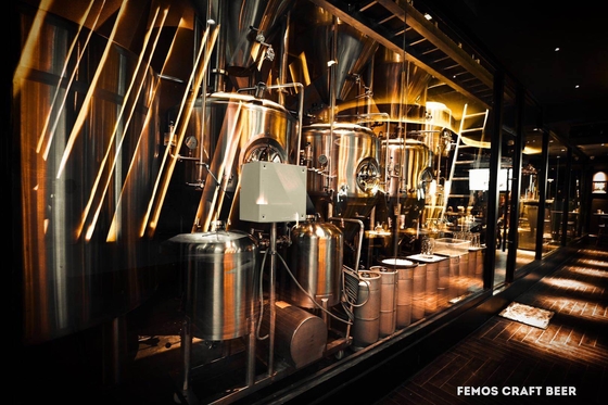 Het Huis van het douaneontwerp De Brouwerijinstallatie van het Bierbrouwenmateriaal voor Walt-Bier het Maken