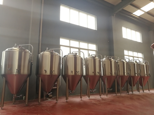 Bar/Bierbar Groot Huis die van de de Gistingstank van het Systemenbier Beklede Kegel brouwen