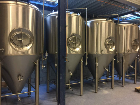 Bar/Bierbar Groot Huis die van de de Gistingstank van het Systemenbier Beklede Kegel brouwen