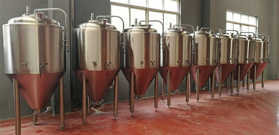Brewpubbier Microbrewery die Materiaal Semi Automatische 200L 500L 1000L Kegging