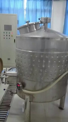 100L de Wijn van de bierproductielijn het Testen Materiaal 1 Jaargarantie van SUS 304