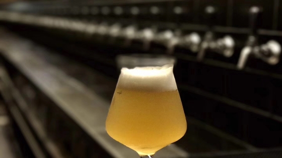 Barambacht De Stoom die van het Bierbrouwenmateriaal Enige Fase of Fase 3 verwarmen