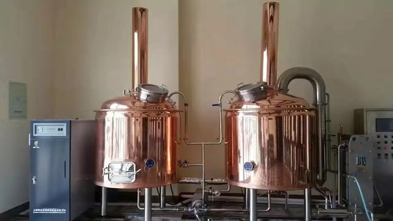 500L 2 Schipambacht Systemen van Microbrewery van het Bierbrouwenmateriaal Kant en klare