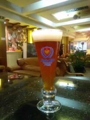 500L 2 Schipambacht Systemen van Microbrewery van het Bierbrouwenmateriaal Kant en klare