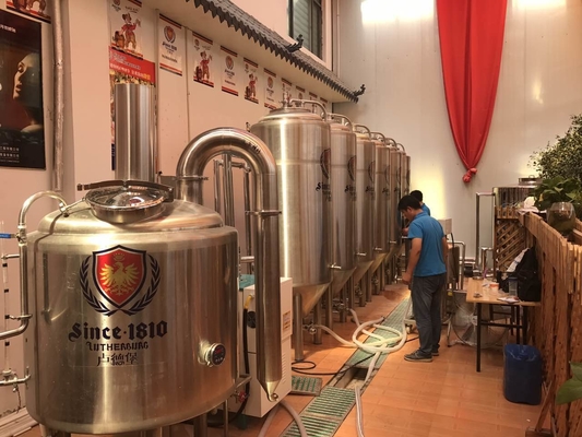 Basishuis Kleinschalig Mini de Brouwerijsysteem van Brewpub van het Bierbrouwenmateriaal