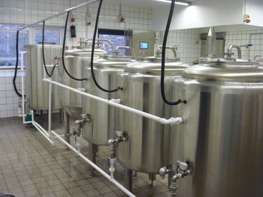 Professionele Microbrewery-Materiaalroestvrij staal het Brouwen Vaten 1000L