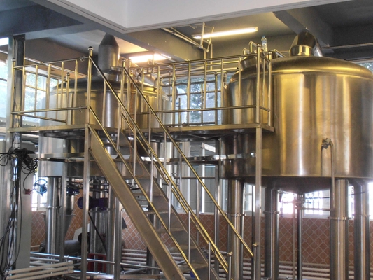Energie - besparingsroestvrij staal Ss van het Bierbrouwenmateriaal het Brouwen Gister