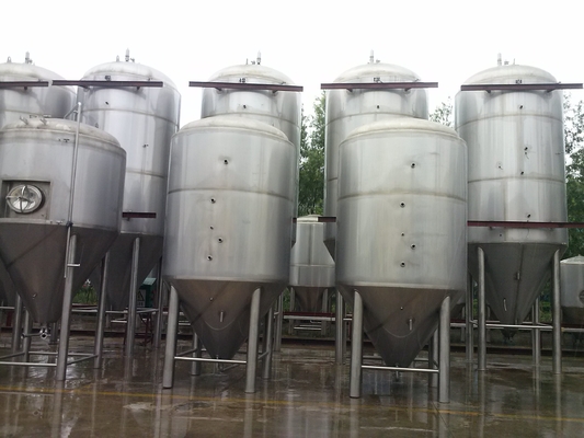 Energie - besparingsroestvrij staal Ss van het Bierbrouwenmateriaal het Brouwen Gister