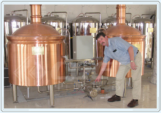 Het industriële van de de Nietigheidbrouwerij van de Gistingstank Materiaal van het het Materiaal Rode Koper
