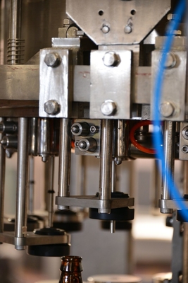 Roestvrij staal 304 het Materiaal Elektrische 380V 50Hz 3 Fase van het Bierflessenvullen