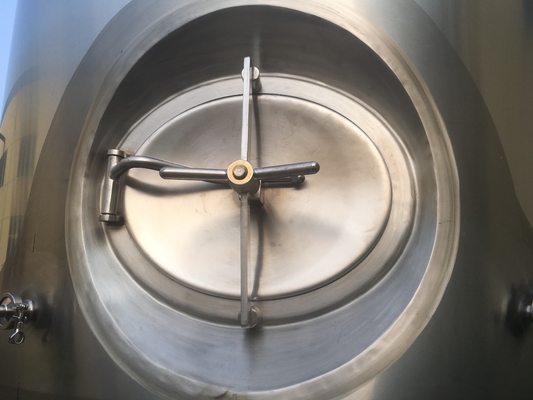 SUS304 ambacht Bierbrouwenmateriaal 20bbl met PLC van de Carbonatiesteen Controle