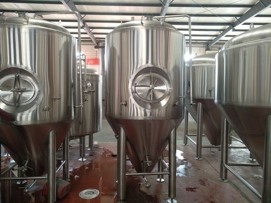 Kegelgistingstank Kegel het Brouwen Systeem Bierbrouwenmateriaal