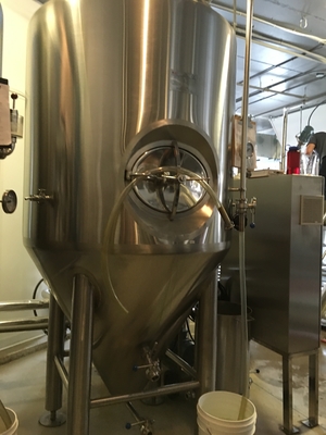 van het Materiaal Kant en klaar Brewpub van 500L 1000L SS304 Microbrewery Systemen Verticaal Type