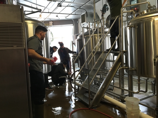 van het Materiaal Kant en klaar Brewpub van 500L 1000L SS304 Microbrewery Systemen Verticaal Type