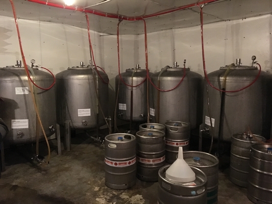 van het Materiaal Kant en klaar Brewpub van 500L 1000L SS304 Microbrewery Systemen Verticaal Type