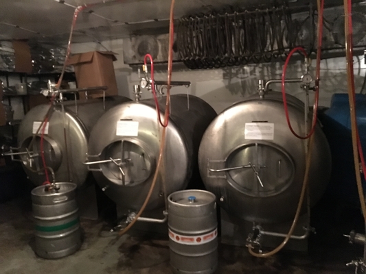 van het Materiaal Kant en klaar Brewpub van 500L 1000L SS304 Microbrewery Systemen Verticaal Type