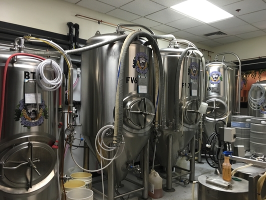 Van micro- Materiaal 3,5 Barmicrobrewery de Brouwende Systeem Opgepoetste Oppervlakte van Bbl