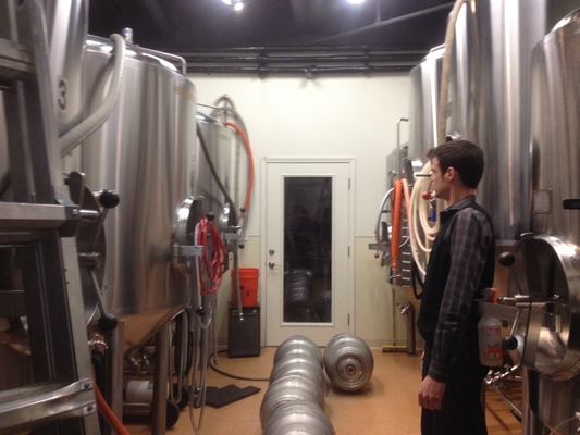 van de Brouwerij Commercieel Microbrewery van 10bbl 15bbl 20bbl het Materiaalss304 Materiaal voor Bierproductie