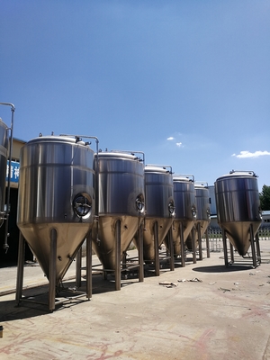 De verticale Beklede van het het Bier Kegelbier van de Gistingstank Heldere Gister 3000L
