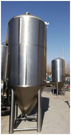 De verticale Beklede van het het Bier Kegelbier van de Gistingstank Heldere Gister 3000L