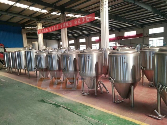 20 Bbl-de Tank van het Gisterroestvrije staal Industrieel Bierbrouwenmateriaal