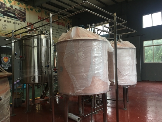 Kleine Capaciteit Van de Gistingstanks van het Bierbrouwensysteem 10Hl het Roestvrije staalgister