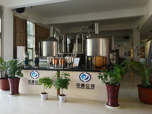 SUS304 ambacht Bierbrouwenmateriaal 20bbl met PLC van de Carbonatiesteen Controle