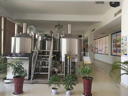 SUS304 ambacht Bierbrouwenmateriaal 20bbl met PLC van de Carbonatiesteen Controle