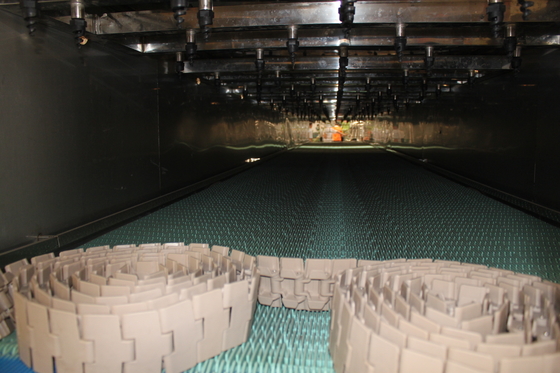 Het bespuitende Pasteurisatieapparaat van de de Productielijntunnel van de Typeverpakking voor Bier of Drank
