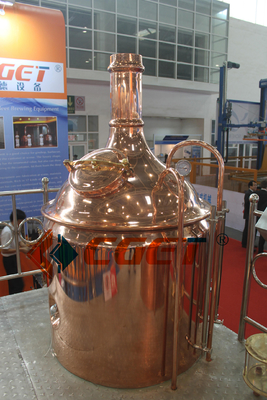 De Ambacht van SUS 304 Het Brouwende Systeem van het Bierbrouwenmateriaal 500L met ISO-Ce Gediplomeerd voor Rusina