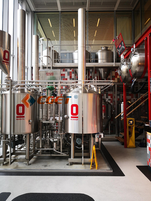 De Ambacht van SUS 304 Het Brouwende Systeem van het Bierbrouwenmateriaal 500L met ISO-Ce Gediplomeerd voor Rusina