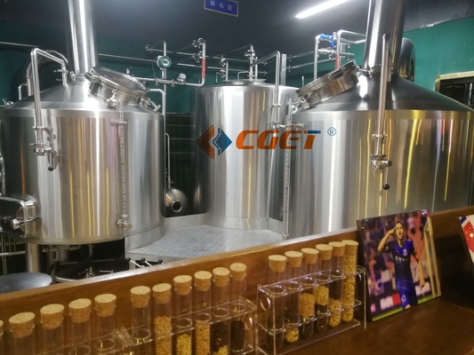 De Ambacht van SUS 304 Het Brouwende Systeem van het Bierbrouwenmateriaal 500L met ISO-Ce Gediplomeerd voor Rusina