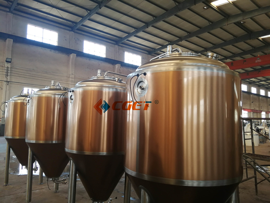 De Ambacht van SUS 304 Het Brouwende Systeem van het Bierbrouwenmateriaal 500L met ISO-Ce Gediplomeerd voor Rusina