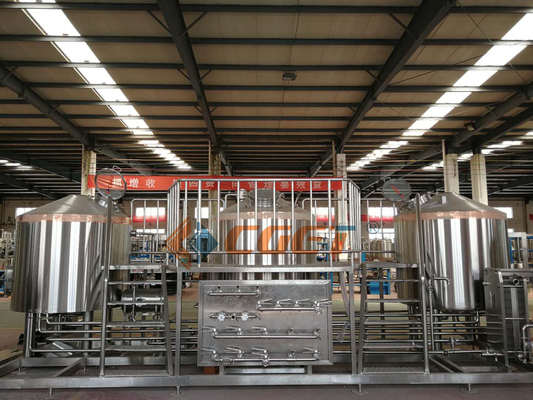 3000L grote Schaal het Brouwen Materiaal 304 Sanitaire Pompen