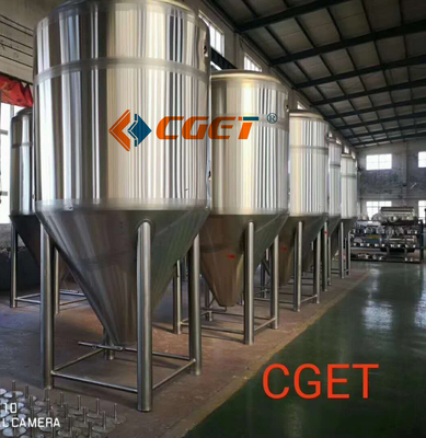 3000L grote Schaal het Brouwen Materiaal 304 Sanitaire Pompen